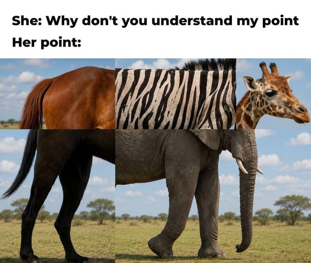 ‘tyou undérstand my’ poin Why ‘don’ ‘tyou undérstand my’ poin Why ‘don’ she: int: Her po